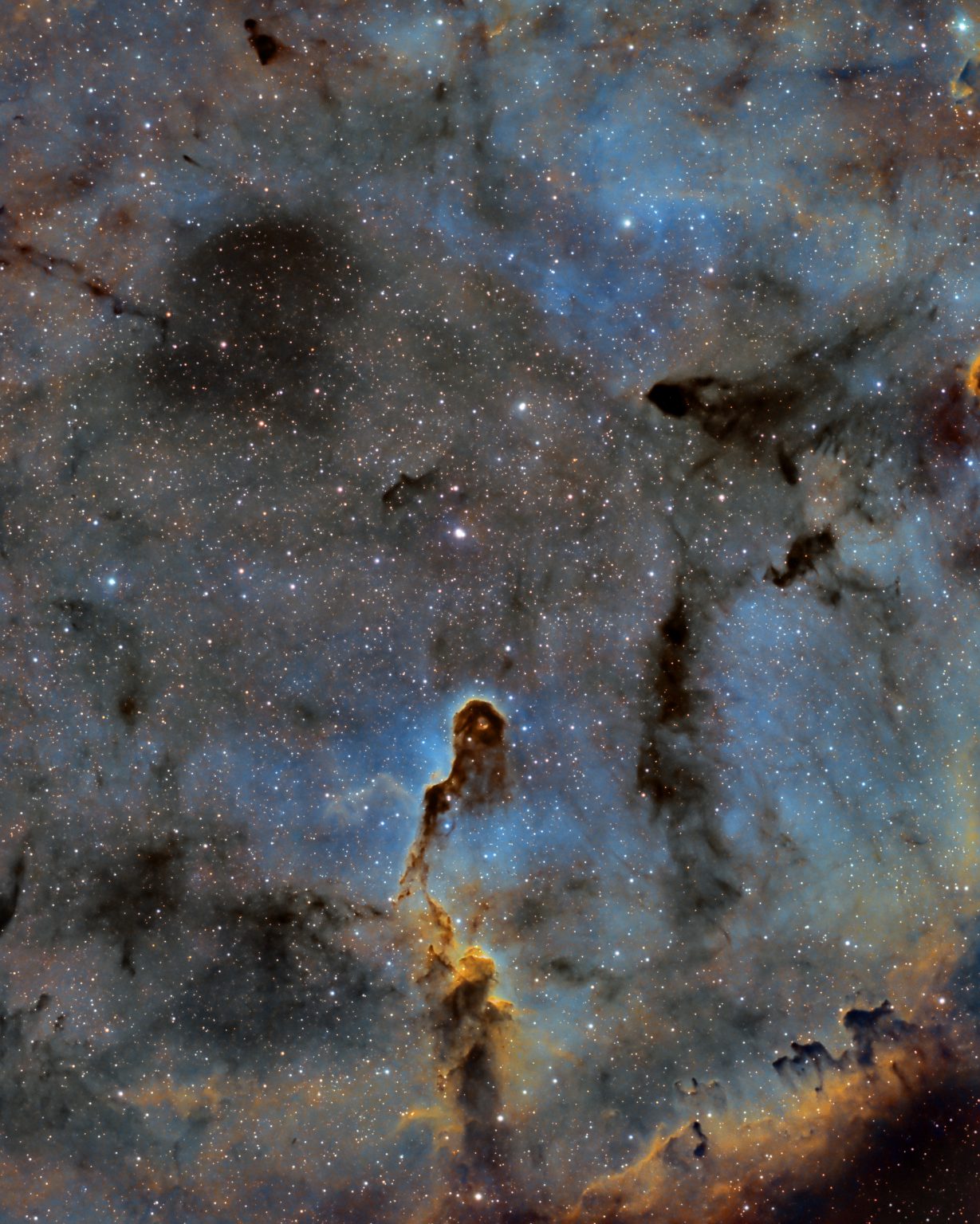 ic1396