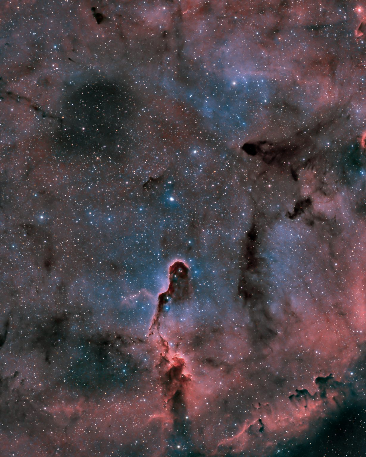 ic1396