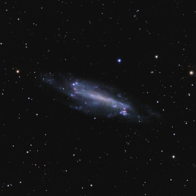 ngc 4236
