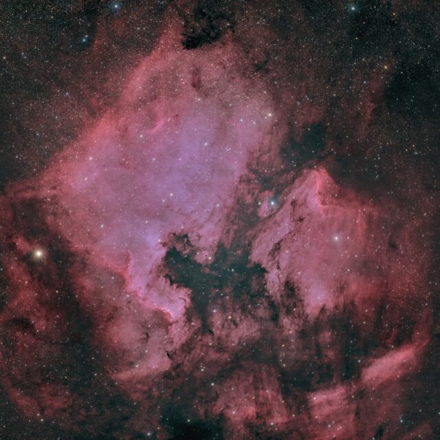 ngc 7000 nébuleuse de l'Amérique du Nord
