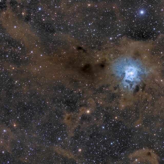 ngc 7023 nébuleuse de l'iris