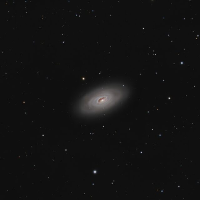 M64