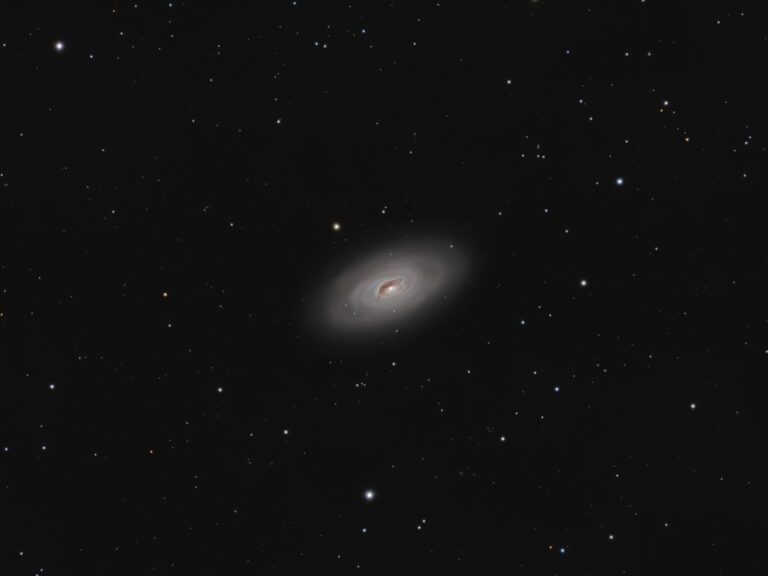 M64