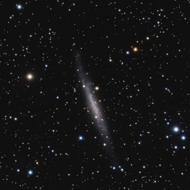ngc 1560