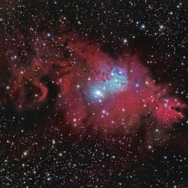 ngc 2264 nébuleuse de l'arbre de Noel