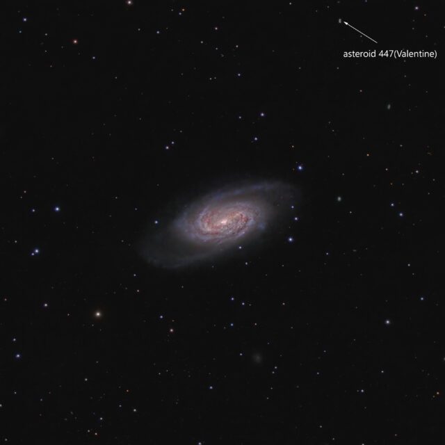 ngc 2903