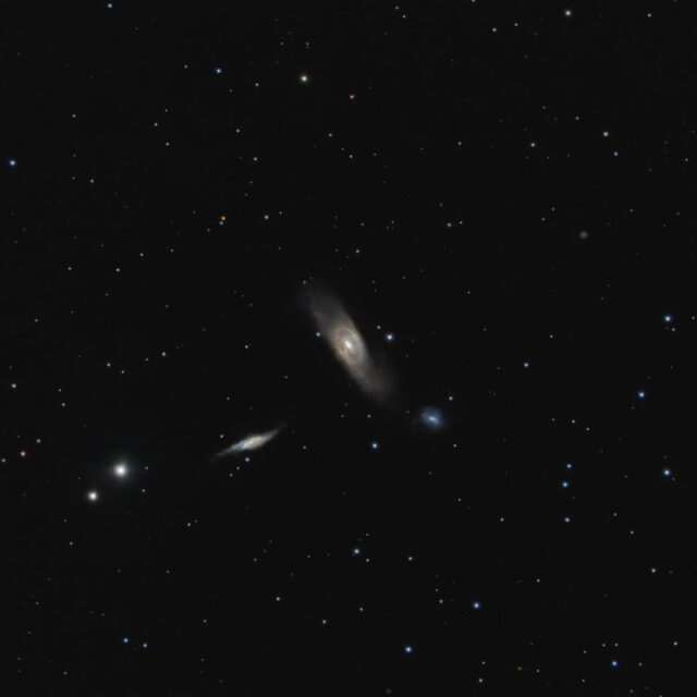 ngc 5566