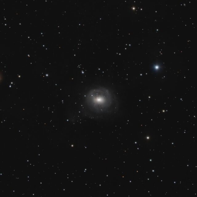 ngc 2655