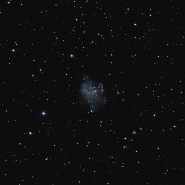 UGC4305 (Holmberg II)