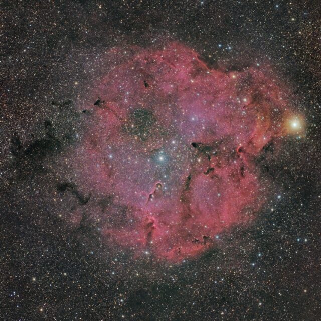 IC 1396 vue d'ensemble