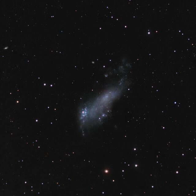 IC 2574 galaxie de Coddington
