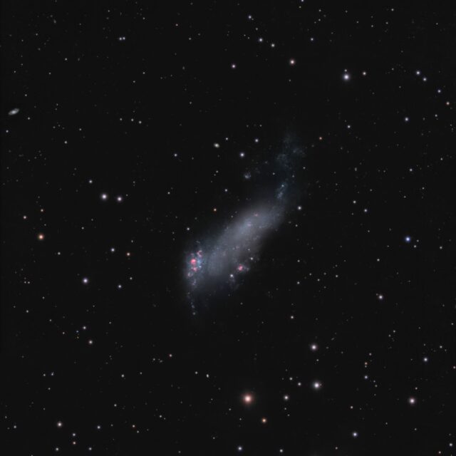 IC 2574 galaxie de Coddington