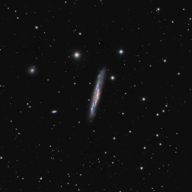 ngc 3079