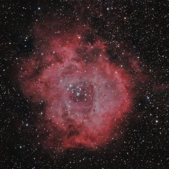 ngc 2237 nébuleuse de la Rosette