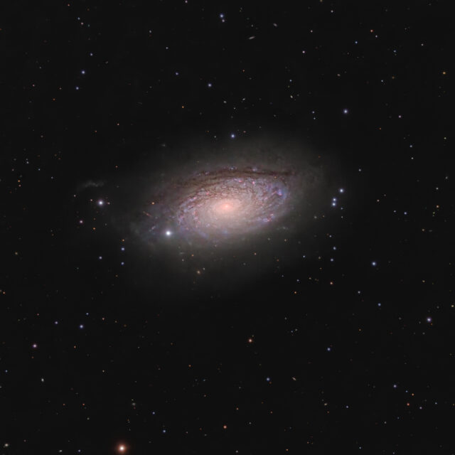M63 galaxie du tournesol