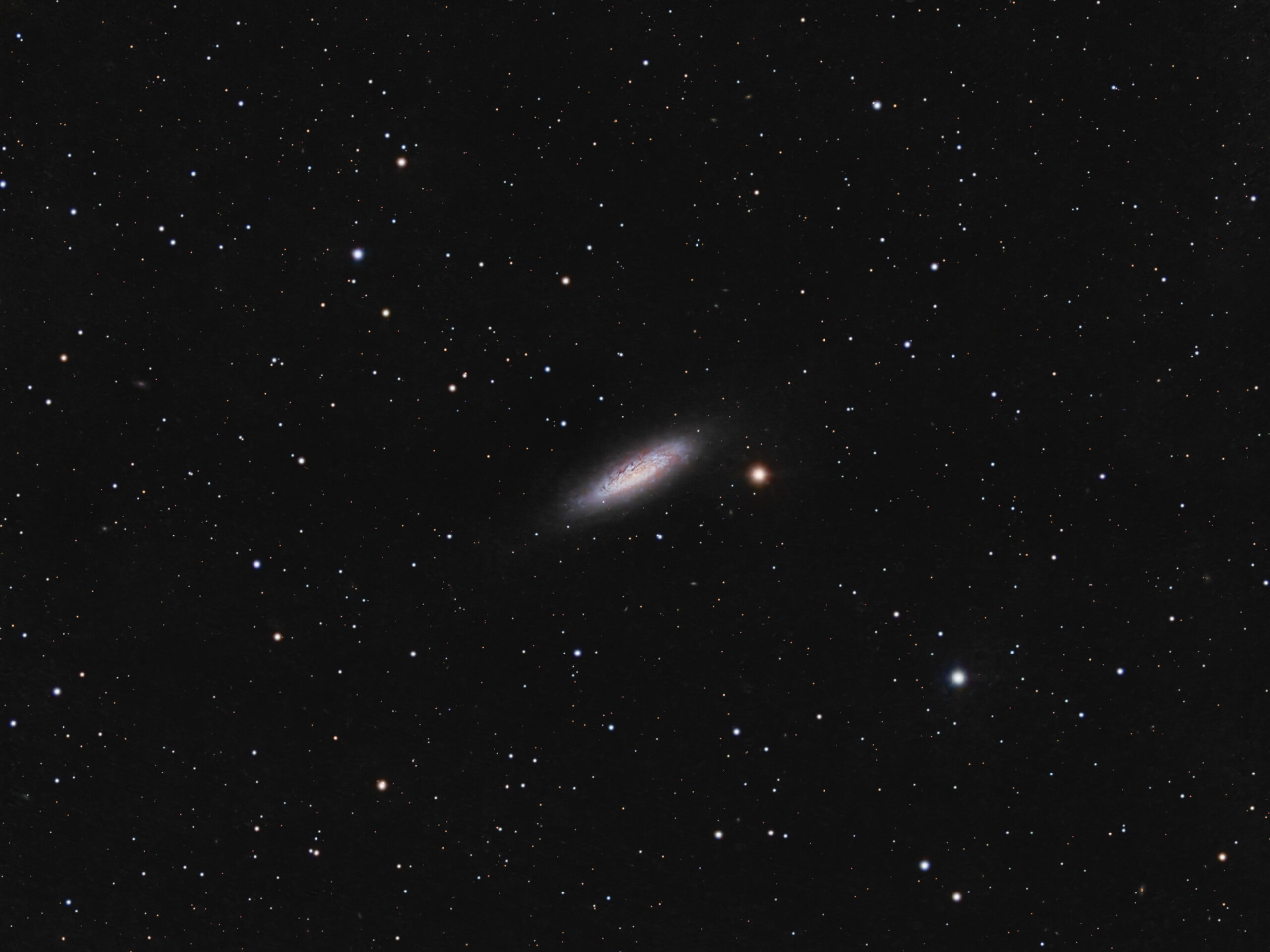 ngc 6503